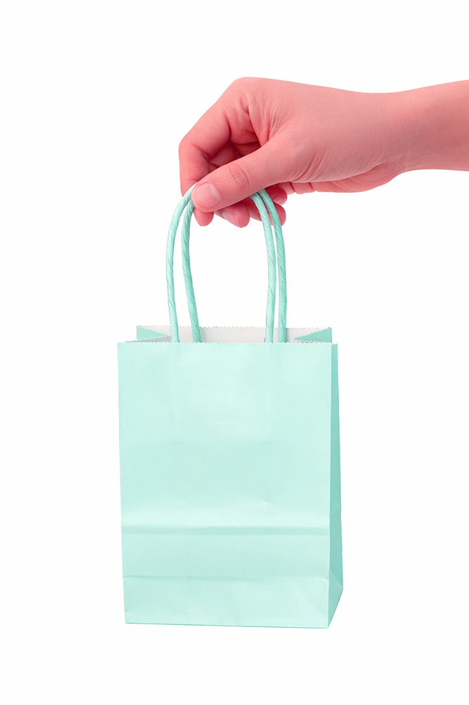 12 Adet Mini Mint Yeşili Büküm Saplı Mini Kraft Karton Çanta Hediyelik 15x11x6 cm